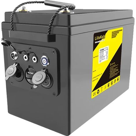 Batterie, 12,8V, capacité de 100Ah, DC-12.8V200Ah (1/2)