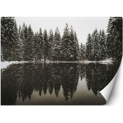 Carta Da Parati, Lago nella foresta in inverno - 300x210 (1/5)