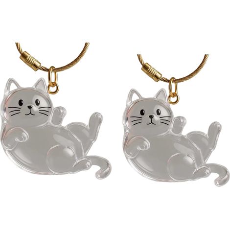 Beyamis Boîte poils chat acrylique - Pendentif porte-clés commémoratif (1/5)