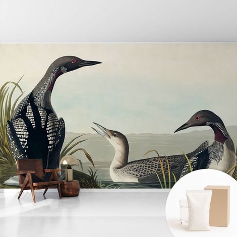 Papier peint intissé mural pour salon chambre à coucher tendance et originale - Colle incluse gratuite Oiseaux au bord de l'eau 416x254 cm (1/5)