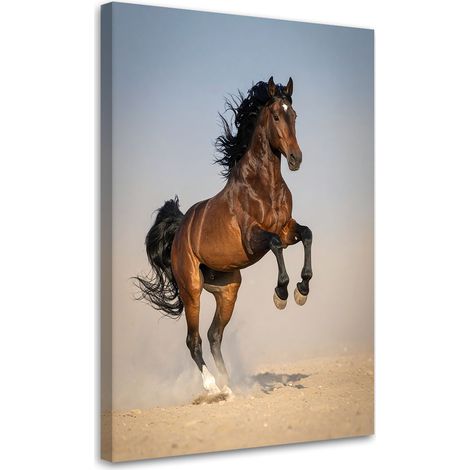 Tabelau sur Toile, Cheval galopant sur le sable,20x30 (1/4)