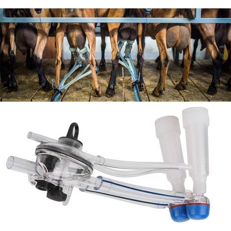 Transparente Melkeinheit – für Ziege/Schaf/Kuh – lebensmittelechter Kunststoff – fahrbarer Wagen – Melkmaschine (1/5)