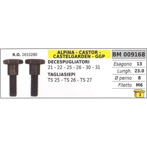 Vis d'embrayage débroussailleuse ALPINA 21 22 25 26 30 31 taille-haie TS25 009168
