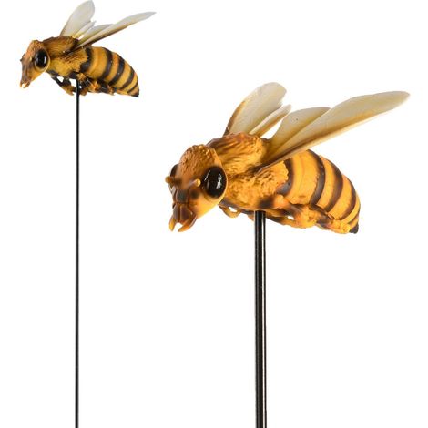 Ape su una vetta alta 78,4 cm