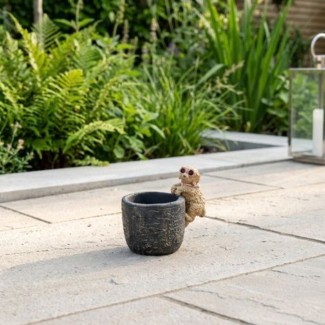 Playful Dog Sunglass Plant Pot Hanger (1/2)