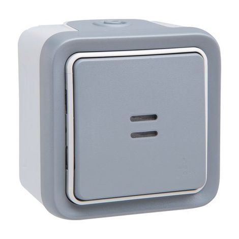 Legrand – Interrupteur lumineux PLEXO étanche 10AX 250V – Commande bascule pour installation en saillie – Pour environnements humides