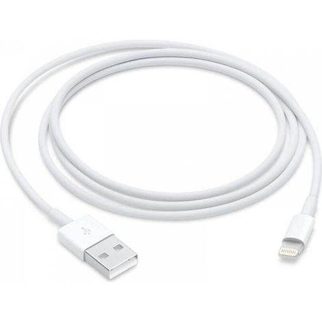 Apple Cble Lightning vers USB (1 m) (1/4)