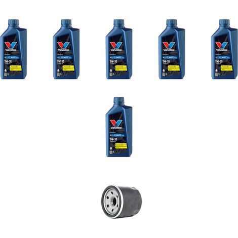 Kit filtro olio e 6L compatibile con Mazda 6 (GH) 2.2 CD 120kw dal 2009 (1/5)