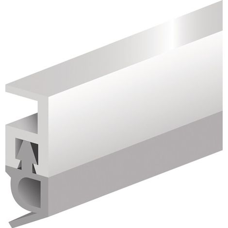 Rail d'étanchéité PTS-AR longueur 2100 mm largeur 5 mm plastique marron clair avec lèvre PVC souple ELLEN (1/3)