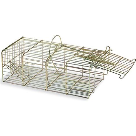 Cage pour rongeur multiprise en métal galvanisé – Résistante à la corrosion – Dimensions 180 x 365 mm – Double entrée sécurisée – Gaun (1/2)