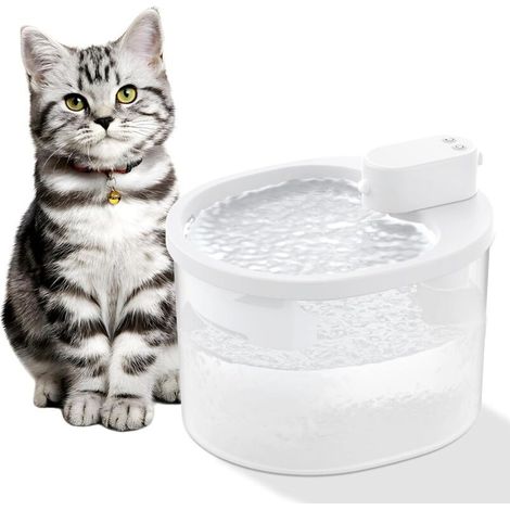 Distributeur d'eau sans fil à induction intelligent pour chat, distributeur d'eau automatique pour animaux de compagnie, distributeur d'eau à circulation mobile infrarouge non branché, (1/5)