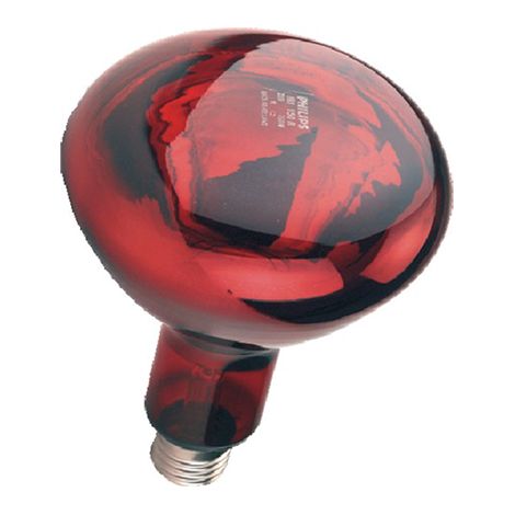 Bombilla Philips calefacción 150 Watts 1 ud