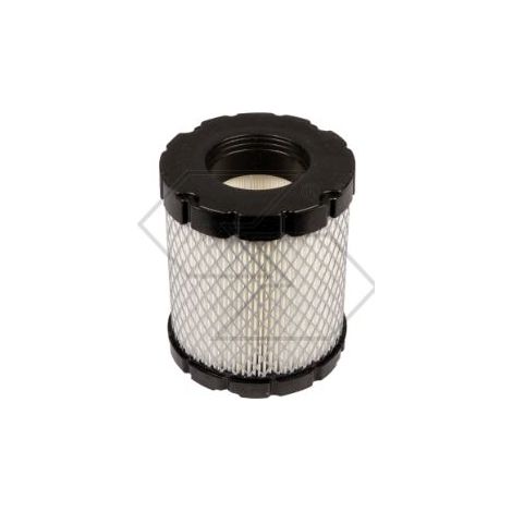 Filtro aria BRIGGS&STRATTON tagliaerba rasaerba 44M977 44P977