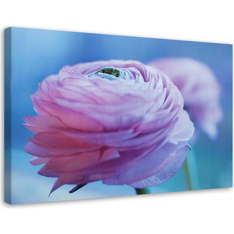 Tableau sur toile Fleur de pivoine Nature 90x60 (1/5)
