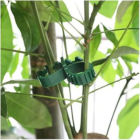 Display Tree Clips 5Pcs Tree Stake Clips 24CM Green Tree Branch Clips Tree Ties Tree Stake ...