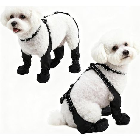 Chaussures Anti-Saleté et Antidérapantes pour Chien - Gardez les Pattes Propres & Sécurisées (1/5)