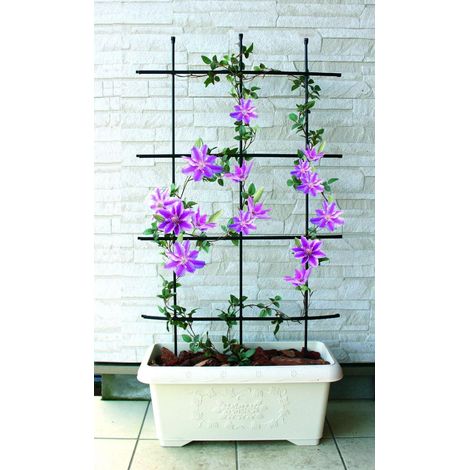 TrendLine Rankgitter 120 cm Spaliere