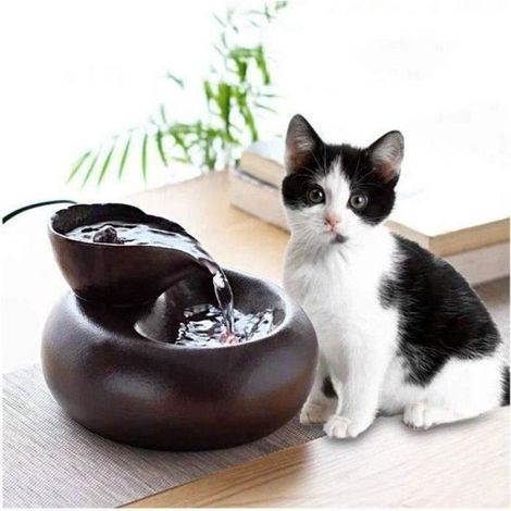 Activity-Pet Wasserspender, Keramik-Trinkbrunnen für Katzen und Hunde – leicht zu reinigen, elektrisch und leise (1/5)