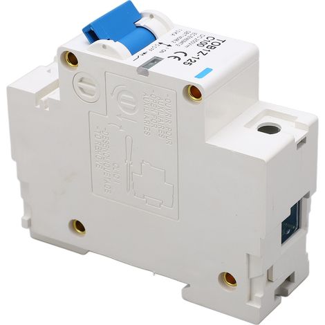 Disjoncteur monophasé 100 A pour installation sur rail DIN 35 mm, protection contre les courts-circuits et les surcharges pour panneaux photovoltaïques, 250 V CC (1/5)