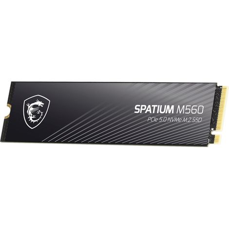 MSI Spatium M560 SSD 2 TB PCIe 5.0 NVMe 2.0 M.2 2280 (10300/8700 MB/s) 3D NAND (1/4)