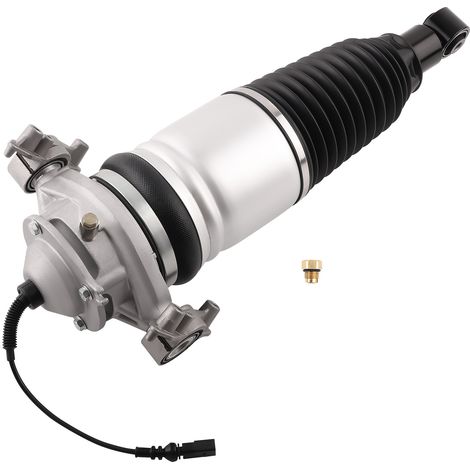 Stodmpfer Luftederung Hinten Rechts For VW Touareg 7P5/7P6 Porsche Cayenne 92A (1/5)
