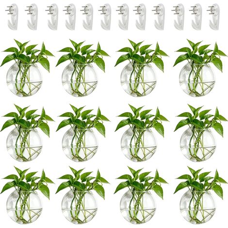 12 Pièces Jardinières en Verre à Suspendre 10cm de Diamètre en Verre Rond Pot - Eau Planter des Vases Air Fleur Vase Plante Terrariums Conteneur de Plantes (1/5)
