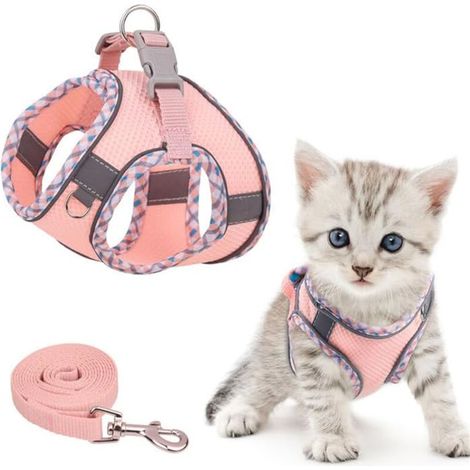 [NEVER USED] Harness for Cats and Small Dogs
