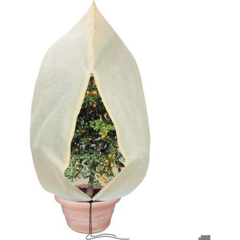 Couverture d'hiver, protection pour plantes, voile d'hivernage 180 x 120 cm (1/5)
