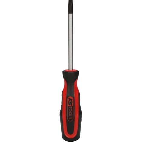 Tournevis TORX T40 100 mm (1/2)