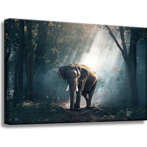 Leinwanddruck Tiere Elefant 60x40 cm