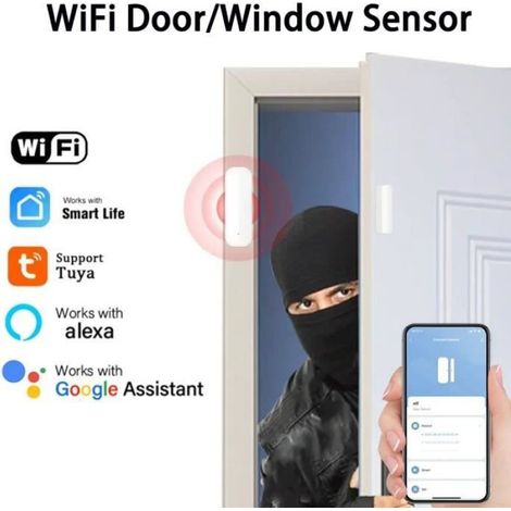 Capteur De Porte Et Fenêtre - WiFi 2,4 GHz - Pour Maison Connectée - 1 Pièce Blanc (1/4)