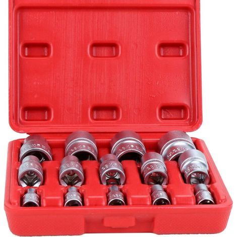 Lot de 14 Douilles Torx Femelles Type E pour Voitures, Camions, Motocyclettes et Véhicules Tout-Terrain (1/4)
