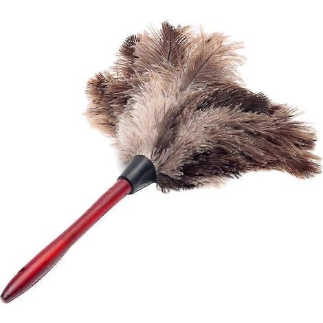 Plumeau en plumes d'autruche de qualité supérieure avec manche en bois - 32 x 21,5 cm, antistatique, pour le nettoyage de la maison et de la voiture (gris) (1/5)