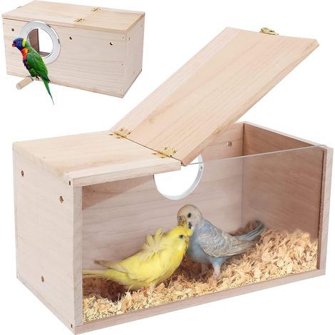 Vogelhaus aus Holz, transparentes Acryl-Design, Brutkasten für Papageien und Spatzen, für drinnen und draußen (1/5)