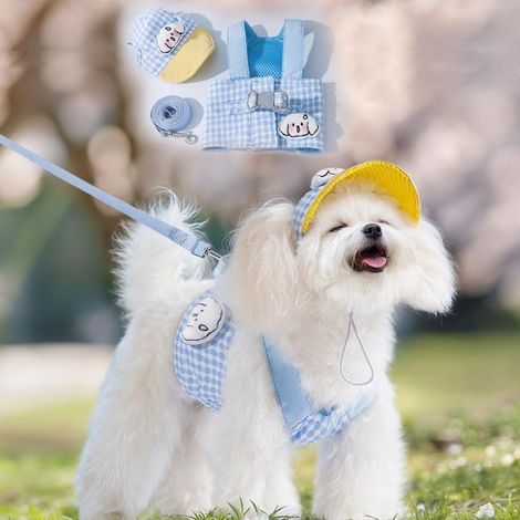 Ensemble harnais pour chien avec chapeau, motif vichy bleu (S), boucle de sécurité réglable et attache pour laisse (1/5)