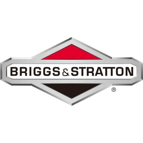 ORIGINAL BRIGGS & STRATTON Rasentraktor-Mähermutter 1960282SM