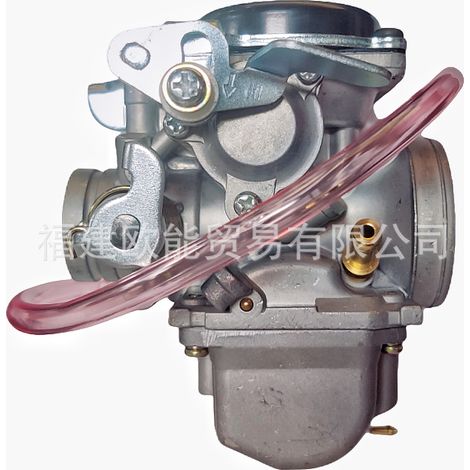 Motorcycle carburetor, compatible with the models KMF/GXT200, GN200, QM200GY and Qingqi Tibetan Mastiff 200 TPS--DTEKGAZ