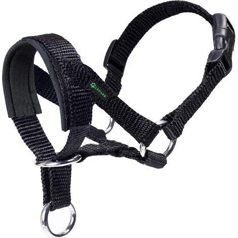 Headcollar for Dogs with Padded Fabric, Adjustable and Easily Controllable Training Collar (M, Black) (1/5)