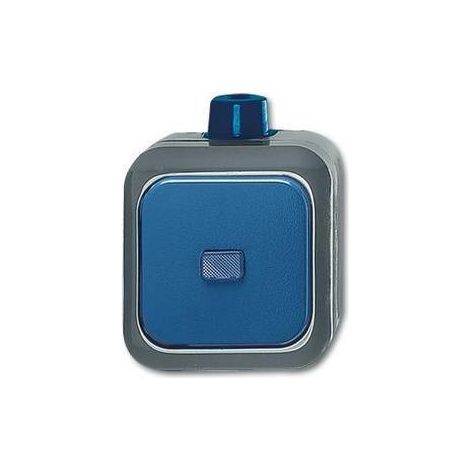 Busch-Jaeger Wechselschalter AP 2601/6 WDI (1/5)