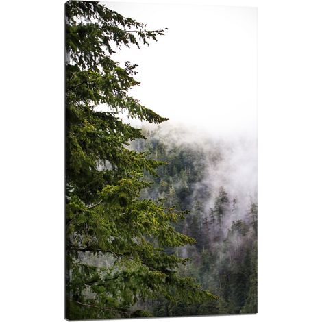 Leinwanddruck Natur Berge Nebelwald 60x100