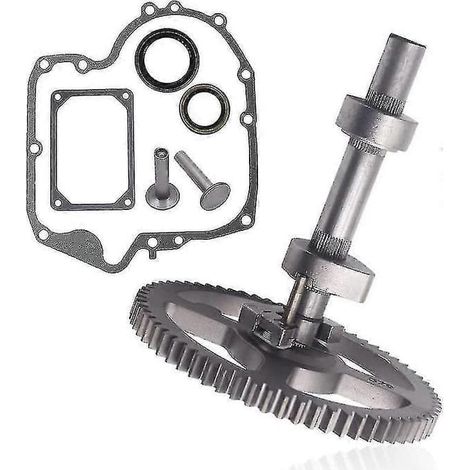 Kit d'arbre à cames 84005207 793880 compatible avec Briggs & Stratton 84005207 793880 793583 790400 792681 791942 795102 avec joint 697110 et poussoir 690564 (1/5)