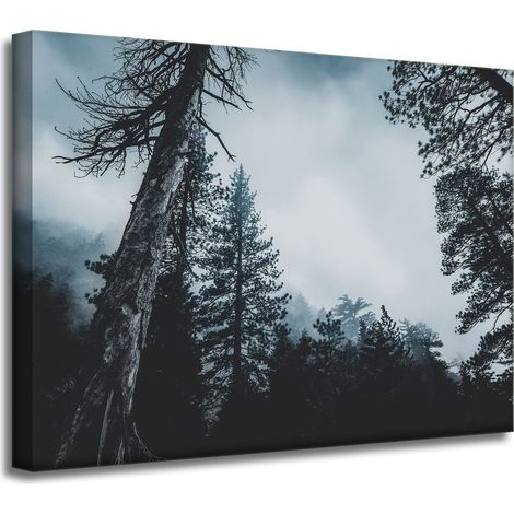 Leinwanddruck Natur Baumkronen 40x30 cm