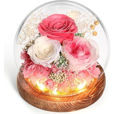 Roses éternelles naturelles marinées avec lumière LED, roses préservées sous verre, cadeaux d'anniversaire, anniversaires de mariage, pour maman, femme, fiancée, Noël, Saint-Valentin, idée cadeau fête (1/5)