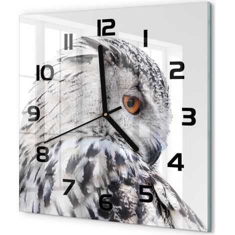 Horloge Murale Carrée Sans Cadre en Verre Trempé Silencieuse et Moderne Hibou blanc 30x30 cm (1/5)
