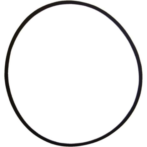 Courroie secondaire pour Bernard Moteur BM4 408018 9,5 mm x 750 mm