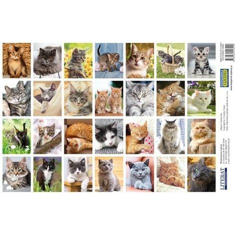Aufkleber. Katzen.
