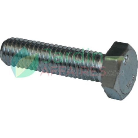 Vis Uni 5739 M 8 x 30 4,8 Delmorino 40100200