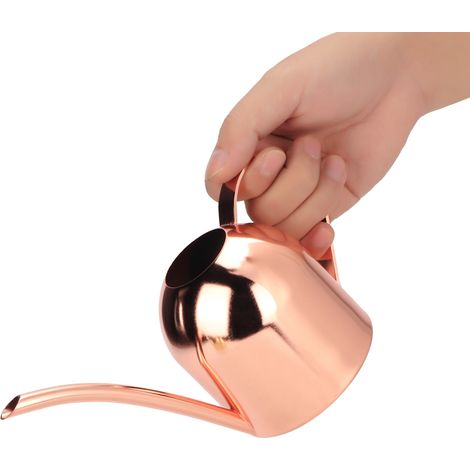 Arrosoir à long bec en acier inoxydable de 500 ml pour plantes d'intérieur et d'extérieur, couleur or rose (1/5)