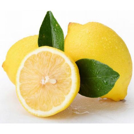 graines de citron et de fruits pour balcon à la maison de adaptées aux jardins en terrasse 200 (1/5)