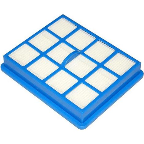 Filtre Hepa H10 (261169-58485) (432200493941) Aspirateur PHILIPS